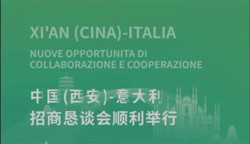 会务保障 91免费版视频所至丨中国（西安）-意大利招商恳谈会顺利举行